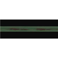 Image of Green Stripe - Antique Rub