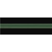 Image of Green Stripe - Solid