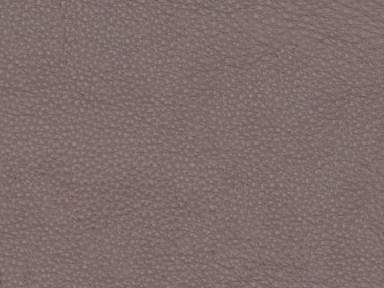 Fabric Image
