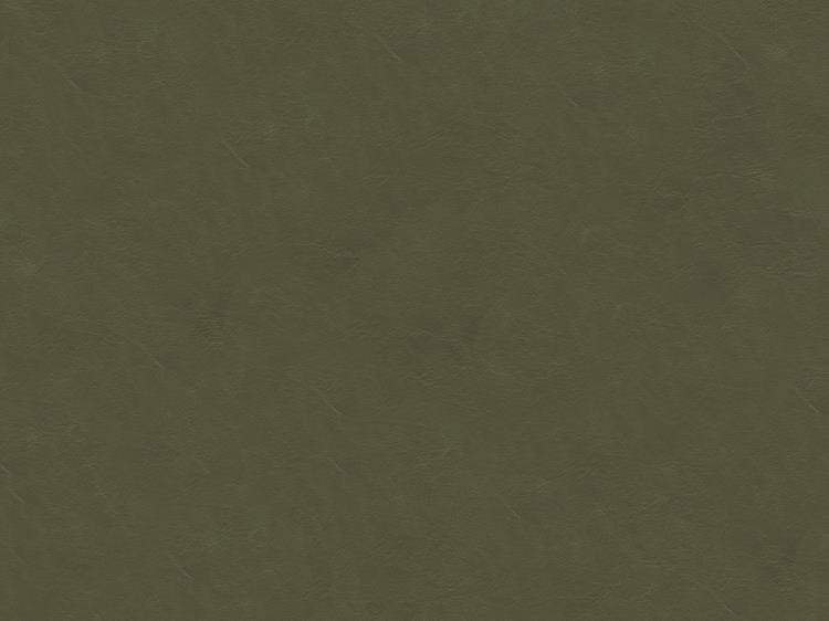 Fabric Image