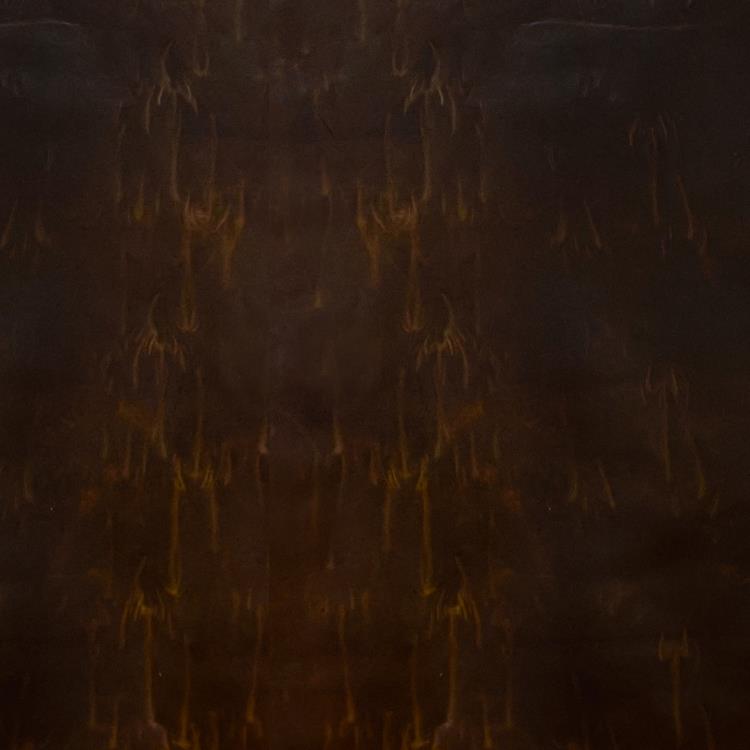 Fabric Image